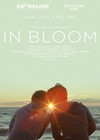 In Bloom (2013).jpg